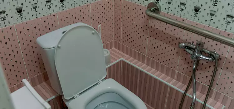 Meeting Diverse Needs With Accessible Restroom Solutions in University Place, WA
